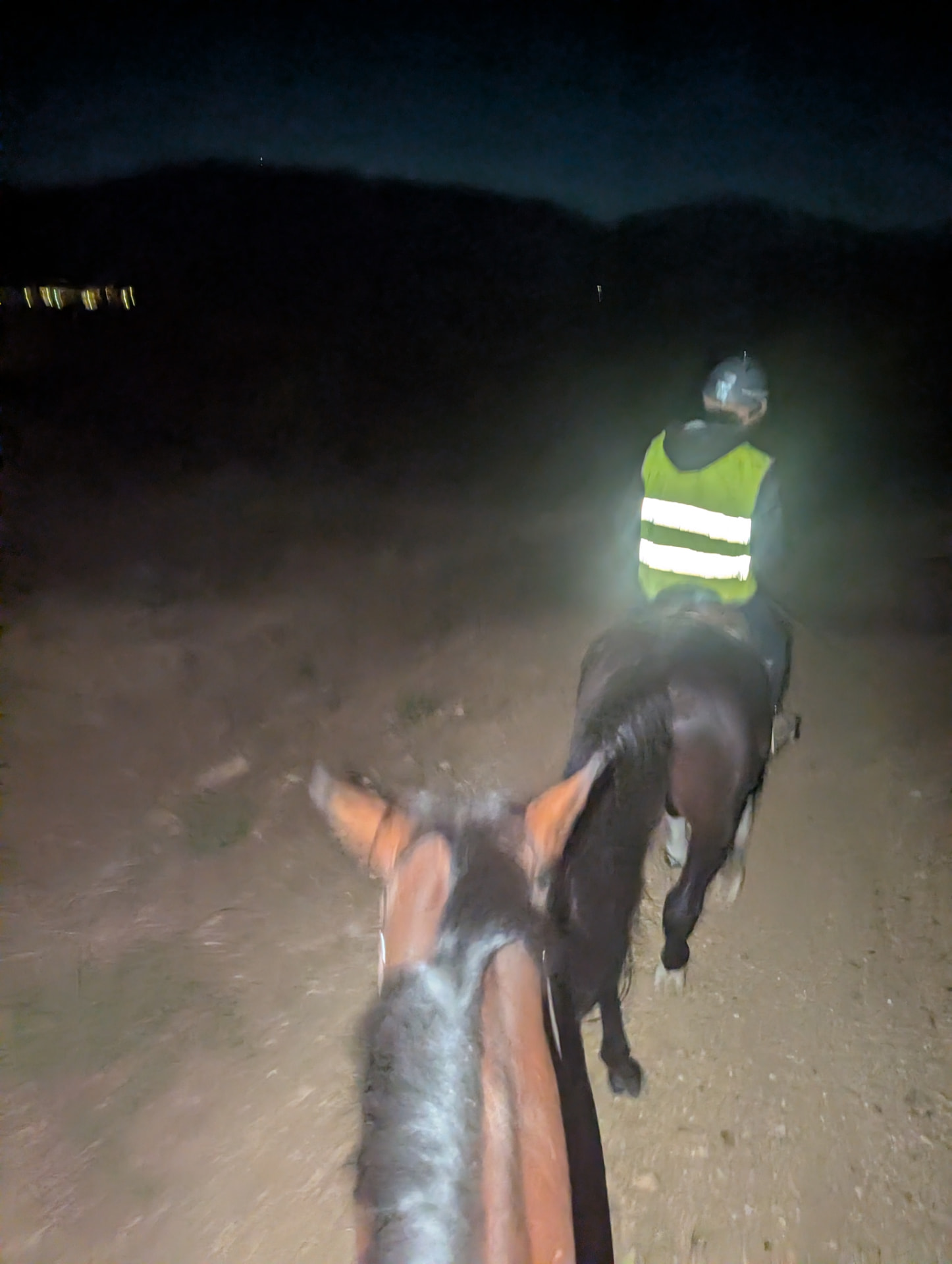 Vista desde el caballo durante una ruta nocturna, con un jinete con chaleco reflectante delante