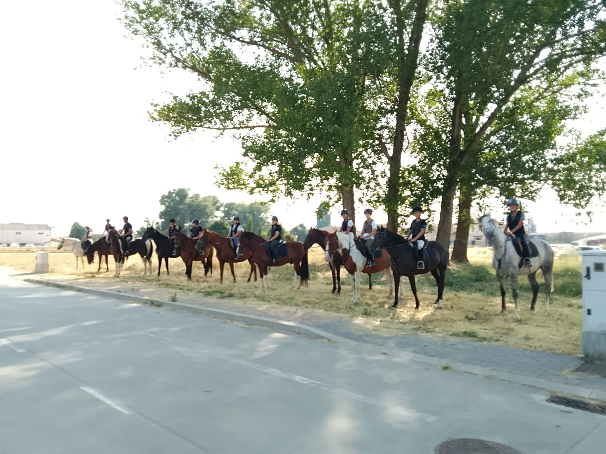 Juegos a caballo en la pista