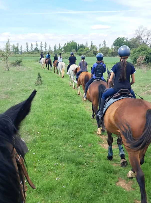 Ruta a caballo: Ruta de iniciación (paso y trote)