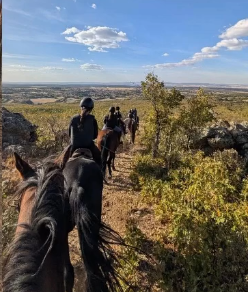 Ruta a caballo: Ruta avanzada (al galope)