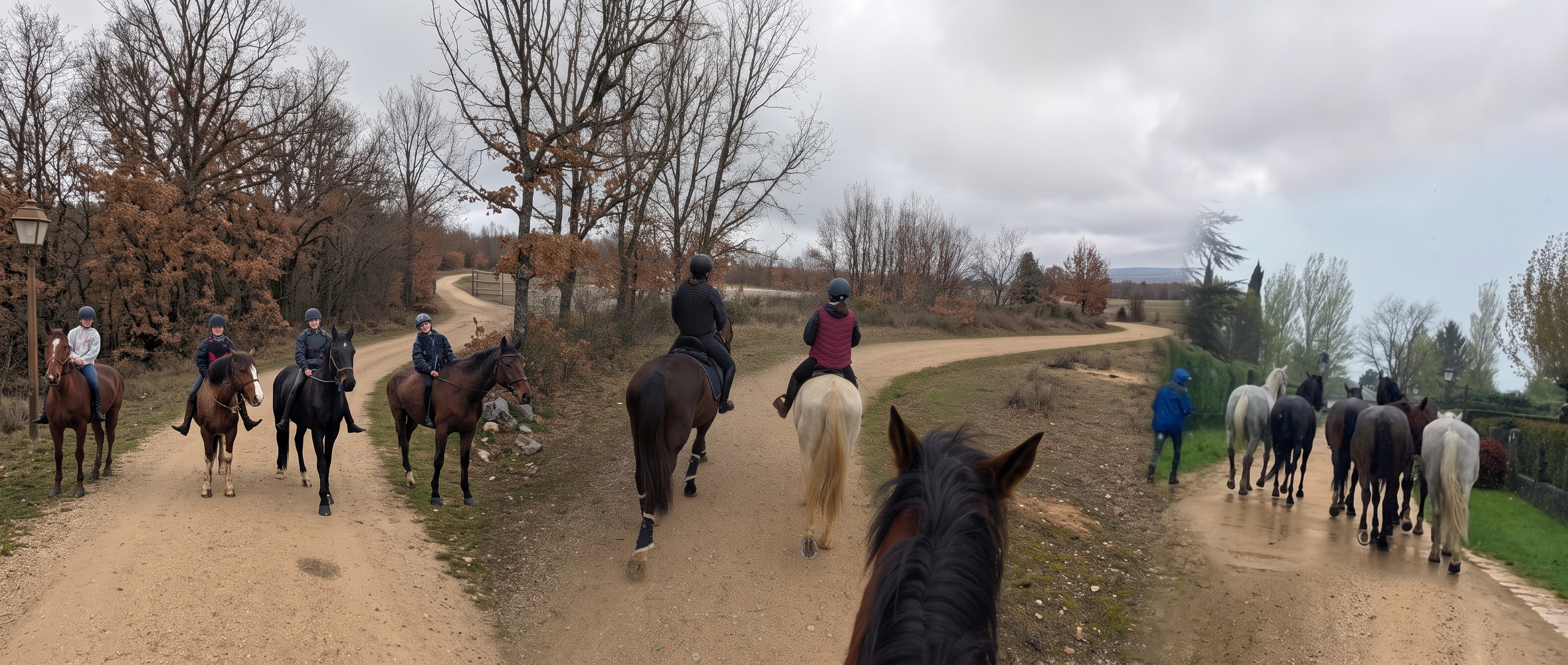 Caballos en Yeguada Riaza — Rutas a caballo